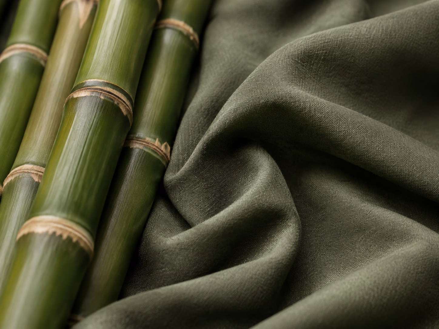 Bamboo stems beside a soft green fabric