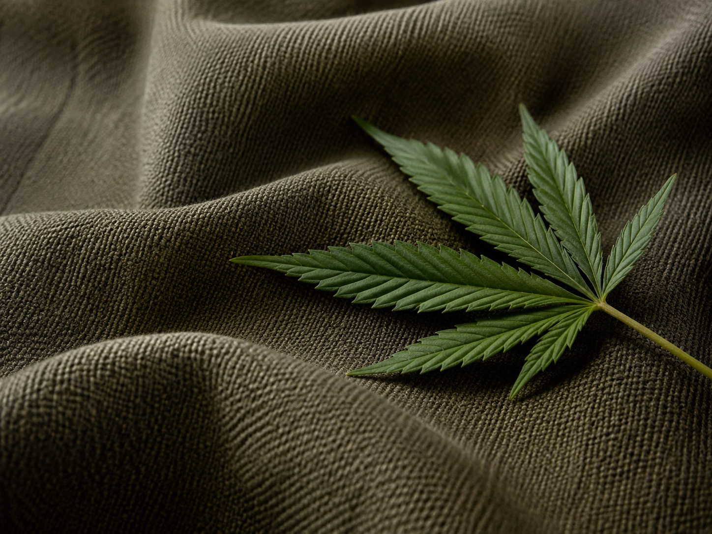 Hemp leaves laid on a rich green woven fabric
