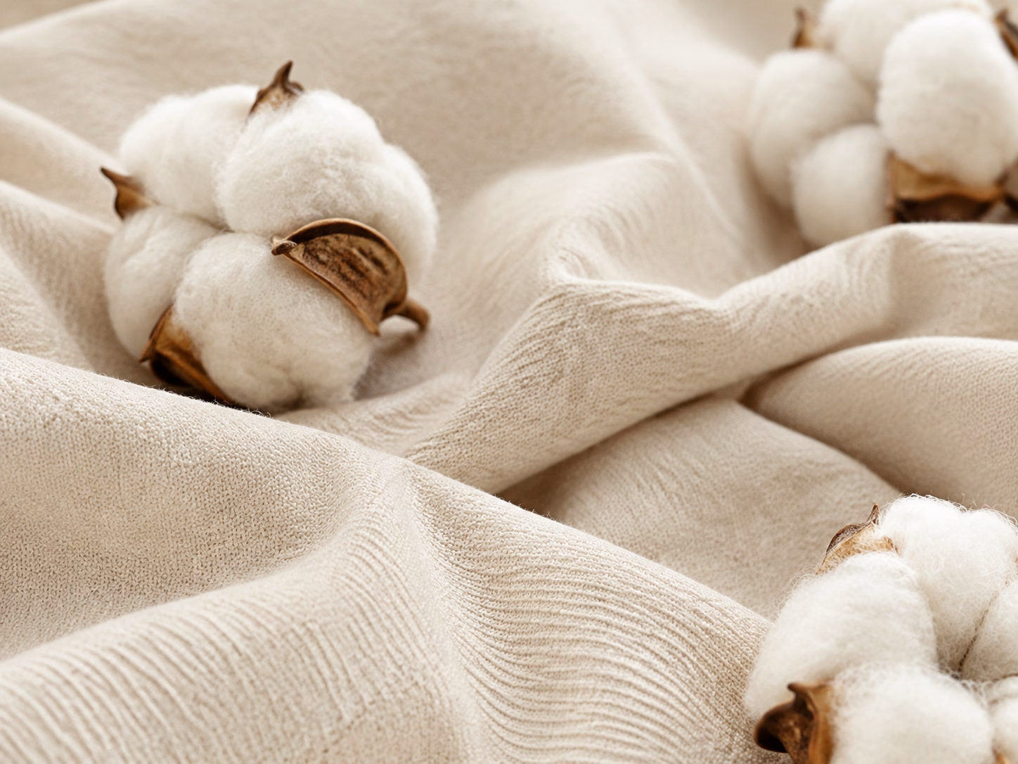 Organic cotton bolls resting on natural fabric